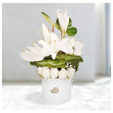 Parnian Flower Box